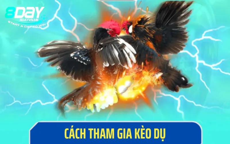 Cách tham gia kèo dụ