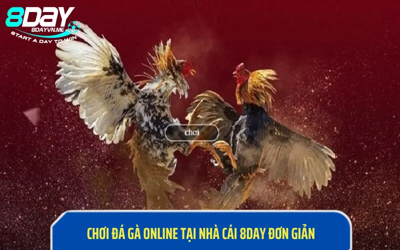 Tham gia chơi đá gà online đơn giản tại hệ thống nhà cái 8Day