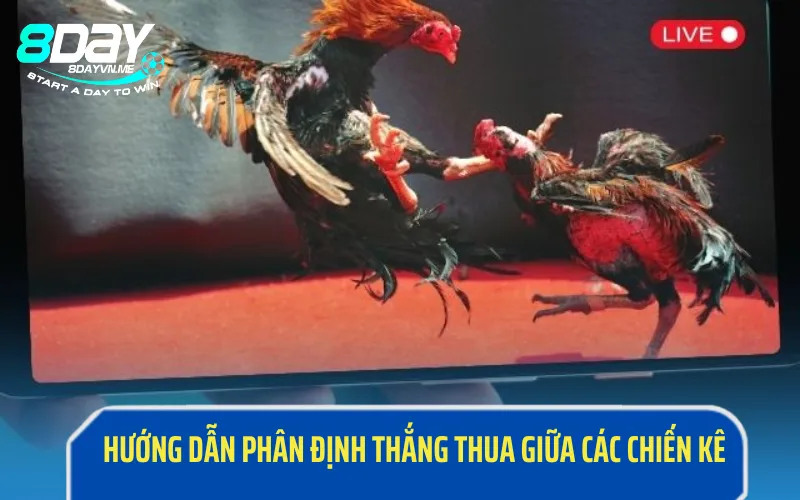 Hướng dẫn phân định thắng thua giữa các chiến kê